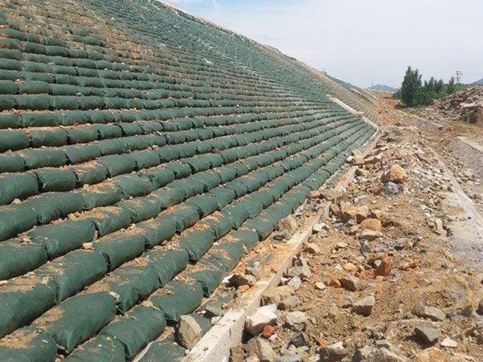 生態(tài)袋施工案例