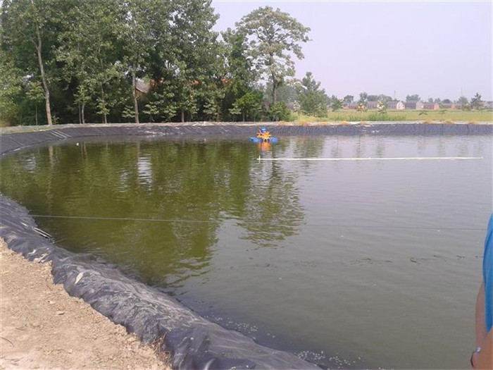 普及一下HDPE防滲膜有毒嗎