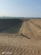 400克綠色蓋網土工布價格