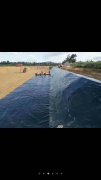 2mm沼氣池黑膜價格