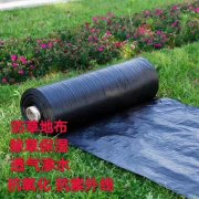 06mm糙面防滲膜生產(chǎn)