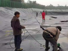 3mm優質土工膜多少錢