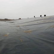 150克批發土工布供貨商