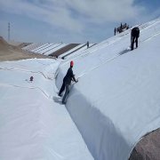 150克白色土工布價格是多少