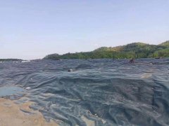 02mm氧化池膜多少錢