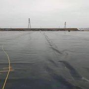 1mm養藕防滲膜價格