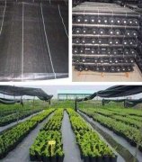 2mm沼氣池防滲膜供貨商