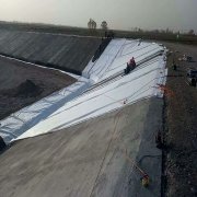 1mm白色土工膜供貨商