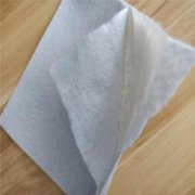 2mm優(yōu)質(zhì)土工膜