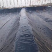 300克短纖土工布多少錢(qián)