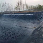 300克公路土工布價格