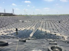 1mm氧化池膜多少錢