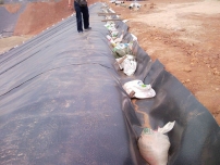 03mm防滲土工膜價格