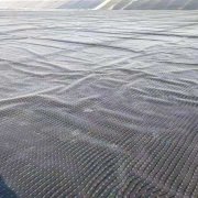 1mm魚池防滲土工膜價格