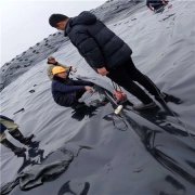 2mm批發土工膜價格