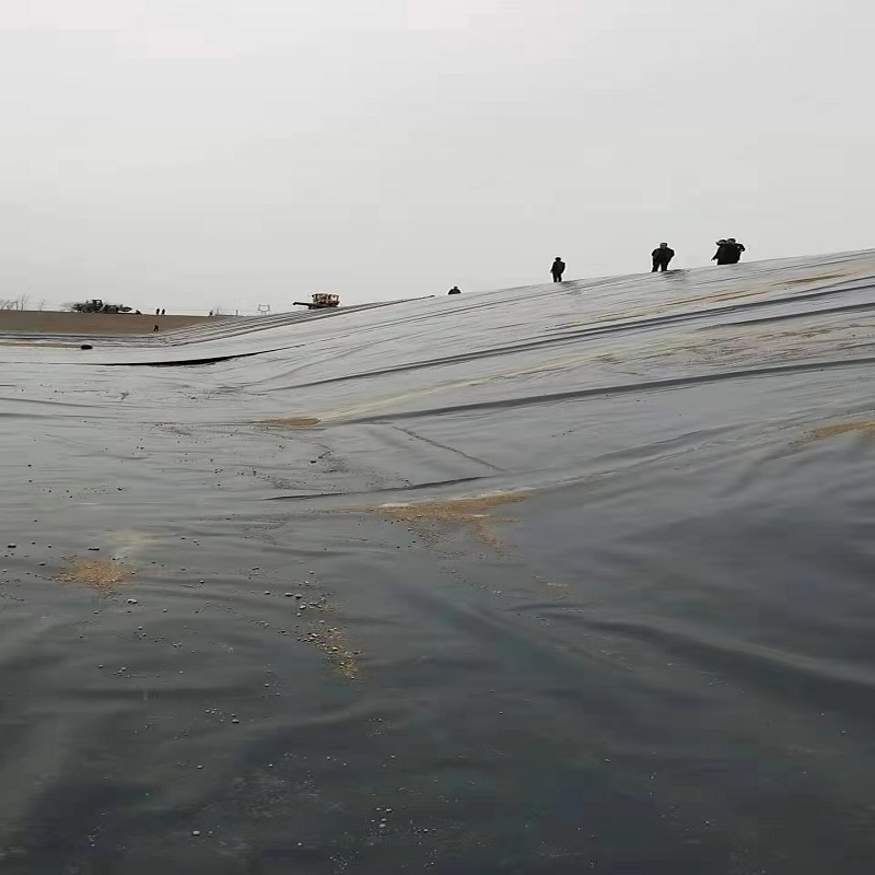 06mm國際土工膜價(jià)格