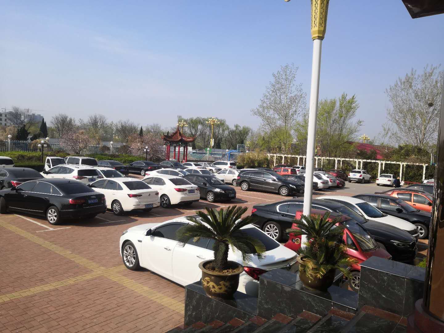 300g養(yǎng)護(hù)土工布表