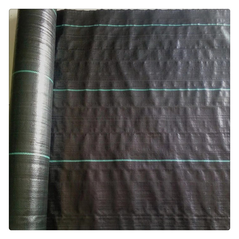 300g白色土工布供貨商