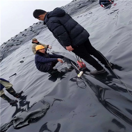 400g綠色土工布生產(chǎn)