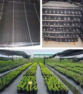 500克生產(chǎn)土工布價格是多少